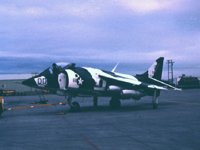 CEH51145.JPG