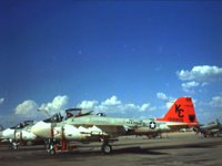 CEH51144.JPG