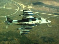 CEH51116.JPG