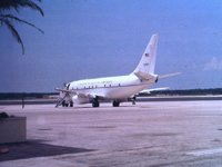 CEH51058.JPG