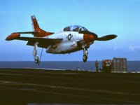 CEH51053.JPG