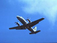 CEH51051.JPG
