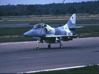 CEH51049.JPG