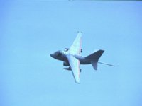 CEH51022.JPG