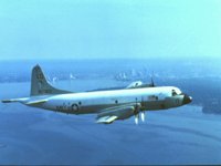 CEH51006.JPG