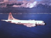 CEH51003.JPG