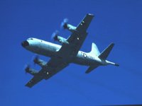 CEH50998.JPG