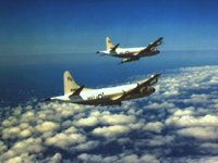 CEH50996.JPG