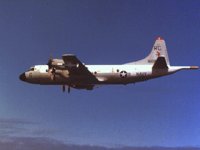 CEH50995.JPG