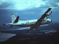 CEH50994.JPG