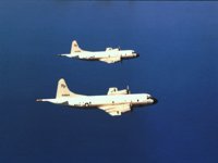 CEH50993.JPG