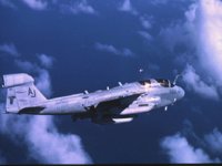 CEH50978.JPG