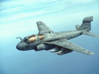 CEH50976.JPG
