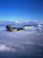 CEH50967.JPG