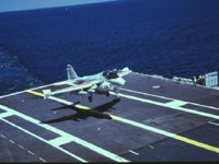 CEH50956.JPG