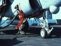 CEH50938.JPG