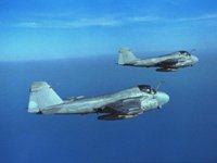 CEH50935.JPG