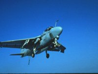 CEH50929.JPG