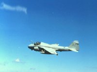 CEH50928.JPG