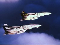 CEH50861.JPG