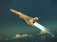 CEH50834.JPG