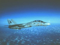 CEH50831.JPG