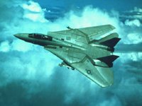 CEH50817.JPG