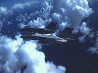 CEH50801.JPG