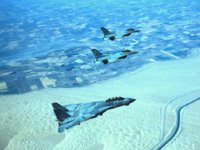 CEH50783.JPG