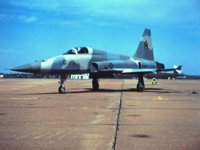 CEH50782.JPG