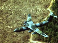 CEH50754.JPG