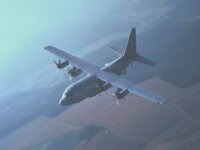 CEH50724.JPG