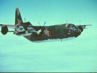 CEH50640.JPG