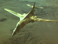 CEH50569.JPG