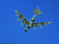 CEH50544.JPG