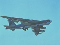 CEH50538.JPG