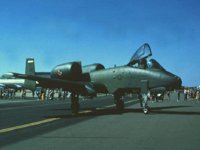 CEH50521.JPG