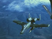 CEH50520.JPG