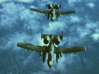 CEH50519.JPG