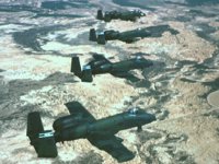 CEH50507.JPG