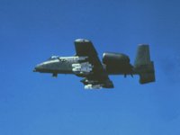 CEH50505.JPG