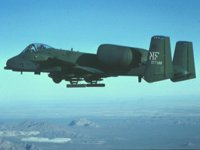 CEH50502.JPG