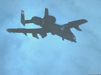 CEH50501.JPG