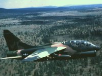 CEH50497.JPG