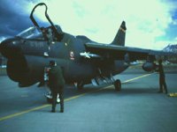 CEH50495.JPG