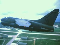 CEH50494.JPG