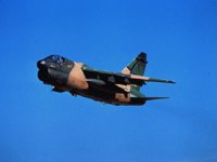 CEH50489.JPG