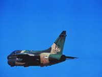 CEH50488.JPG