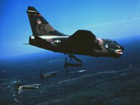 CEH50486.JPG