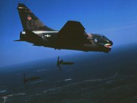 CEH50485.JPG